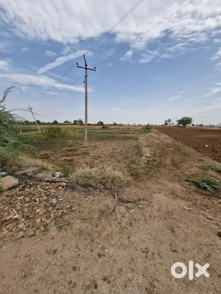 2 acars form land KAMALAPADU village yadiki mandalam Ananatapur dist