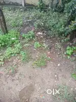 Sell,yard area