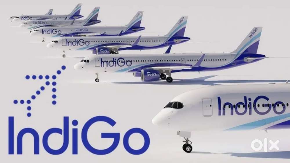 Indigo Airlines jobs Vacancy for Airport Ground staf/Driver/Cabin Crew