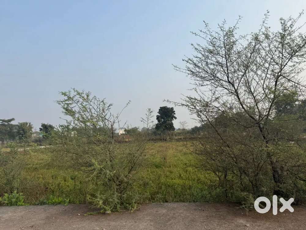 Plot for rent in sirgitti