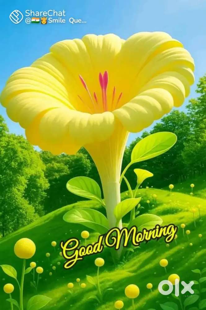 Table for kids STUDY TABLE.