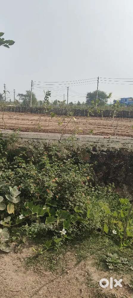 यूआईडी एप्रूव्ड प्लॉट लोनेबल