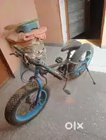 Fat tyre cycle