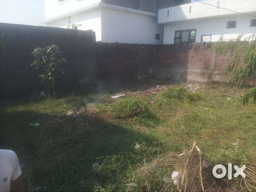 Plot for sel 6.5 merla