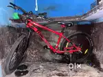 6month old bicycle