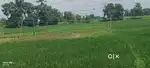Sampatchak se 2 km  andar plot bahut achha hai