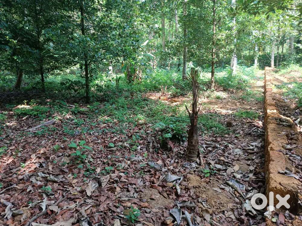 25 cent house plot for sale