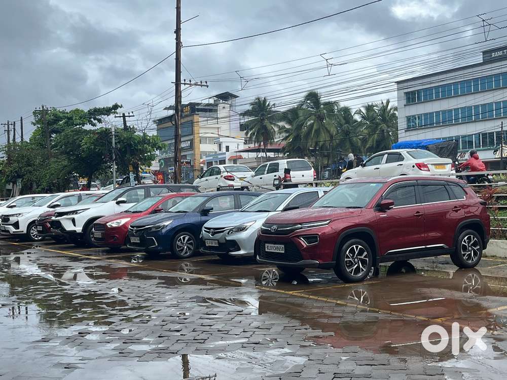 Looking for a Single room for a girl