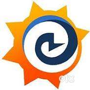 Sales Executive