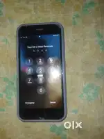 Kamplet kandi shan hi