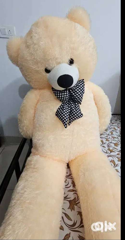 Teddy bear