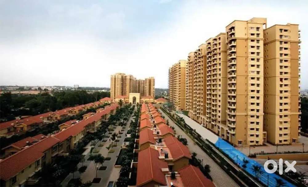 Luxirious flat for rent