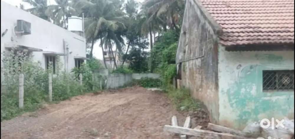 Well area,Near schools,Bus stand,Natarajar temple,Annamalai University