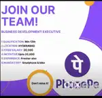 Phonepe business development ptv