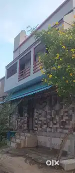 Individual House