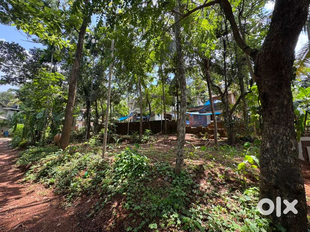9cent Land for Sale