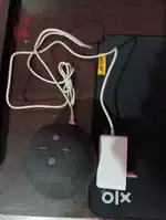 Alexa4 gen