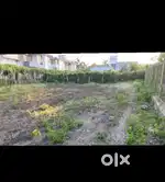 Sale 6.8 guntha land near alibagh nagaon beach.