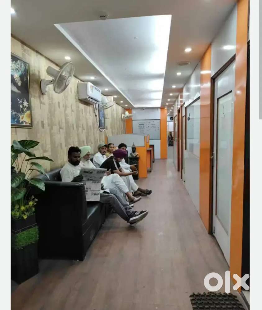 Receptionist and back office staff