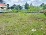 Non flooded area with good neighborhood.