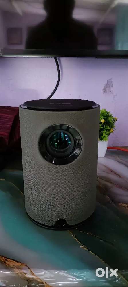 Zebronics projecter
