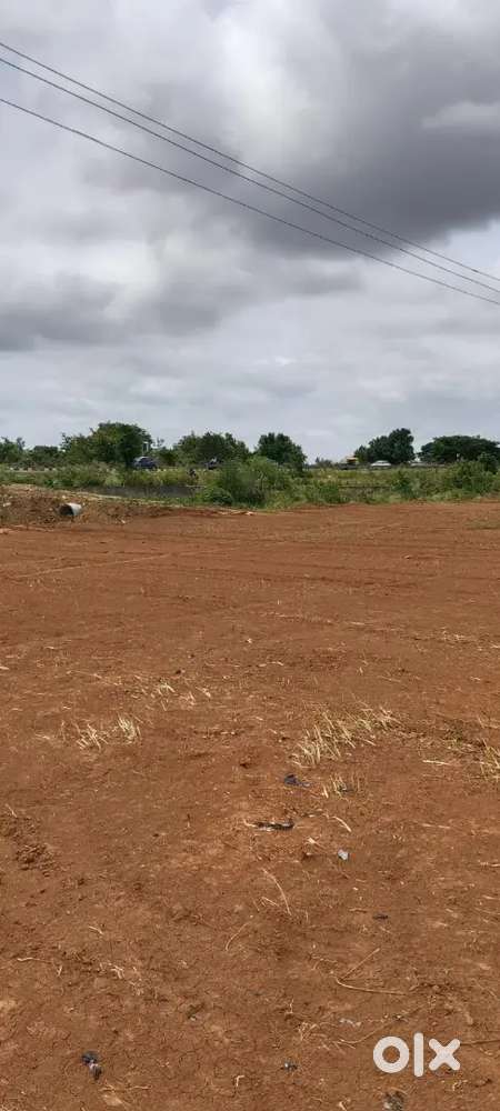 Government value plots!!