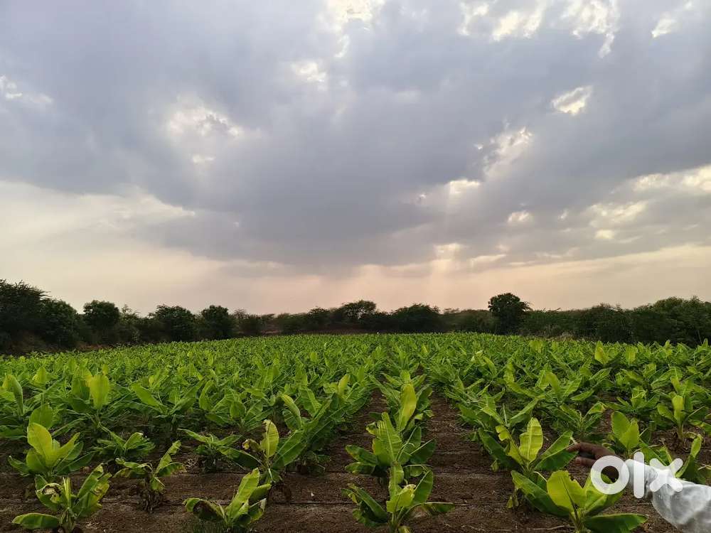 2 acres agriculture land for sale