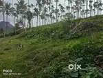 Hill View Land for Sale – Ambalavayal, Wayanad