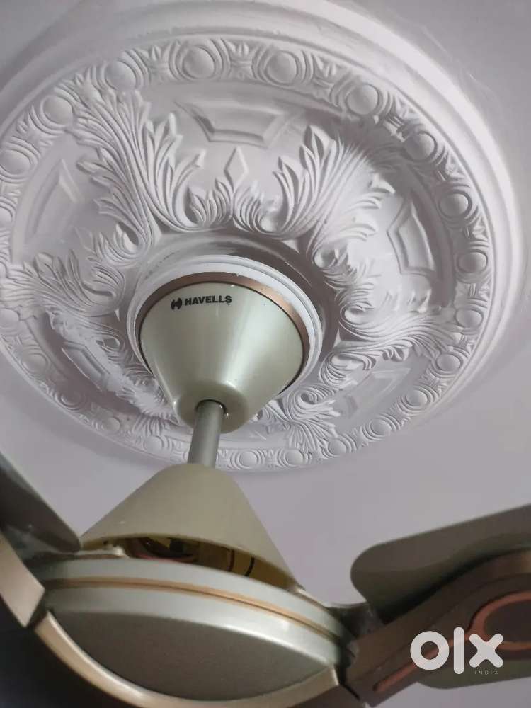 Ceiling Fan Hauwels 4 blade fan