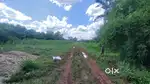 13.5 Acre Land Near Kumhari, Durg