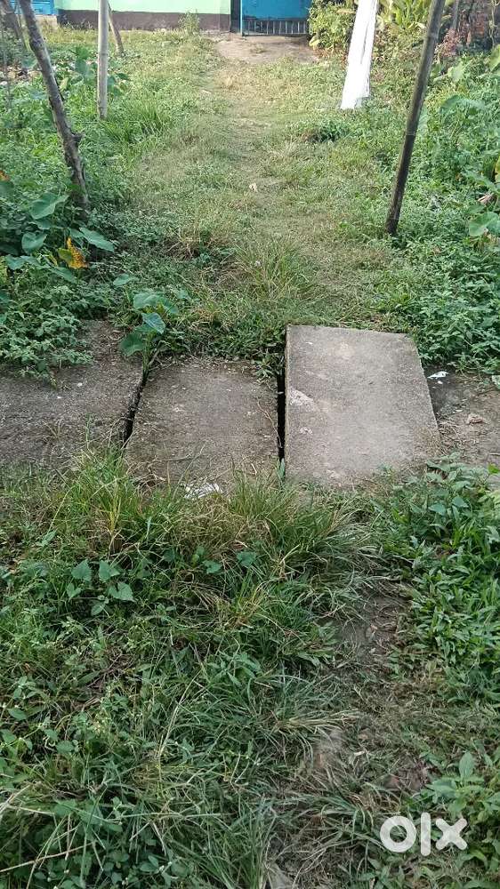 (Eksoniya)Money problem mati tu aku problem nai GMC text di asu