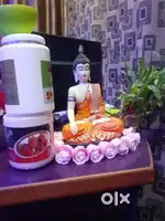 Female  Therapist   for spa