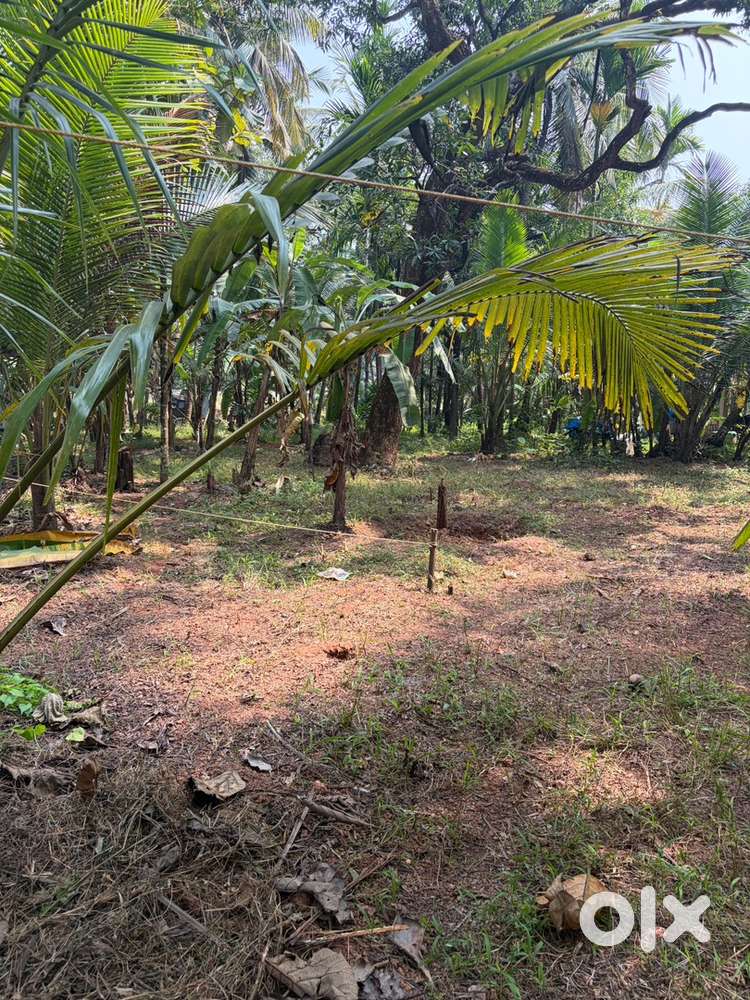 500 meter from Vadakara railwaystatin