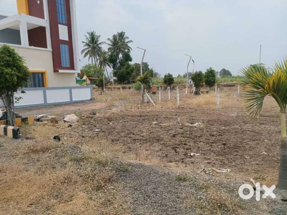 Ready-to-Move 6000 Sq.ft Plot with House + Double Shed – Urgent Sale!