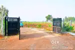 MANAGED FARM LAND FOR SALE AT NORTH BANGLORE
