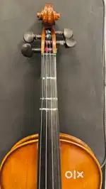 Violin for music lovers