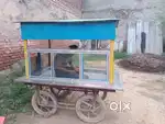 Raddy bikau