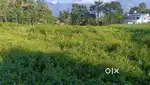 60 Cent Scenic Plot with Mountain View near Chinnar, Munnar.