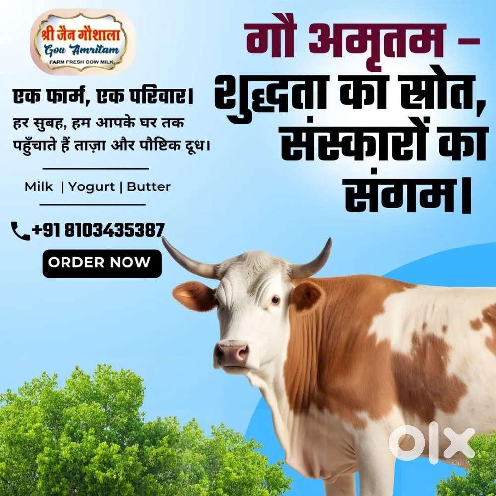 Shree jain gosala
