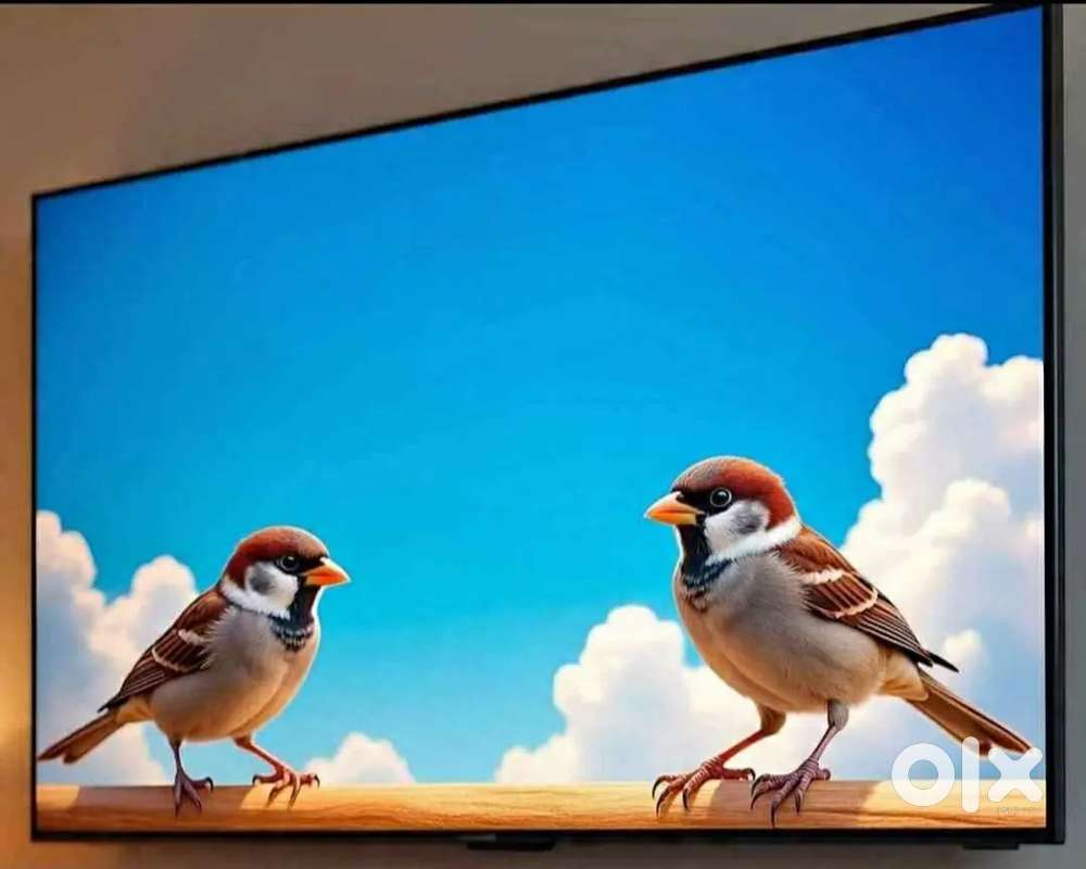 Genuine place New Led TV Size32,40,43,50,55 Frameless FHD warranty 1yr