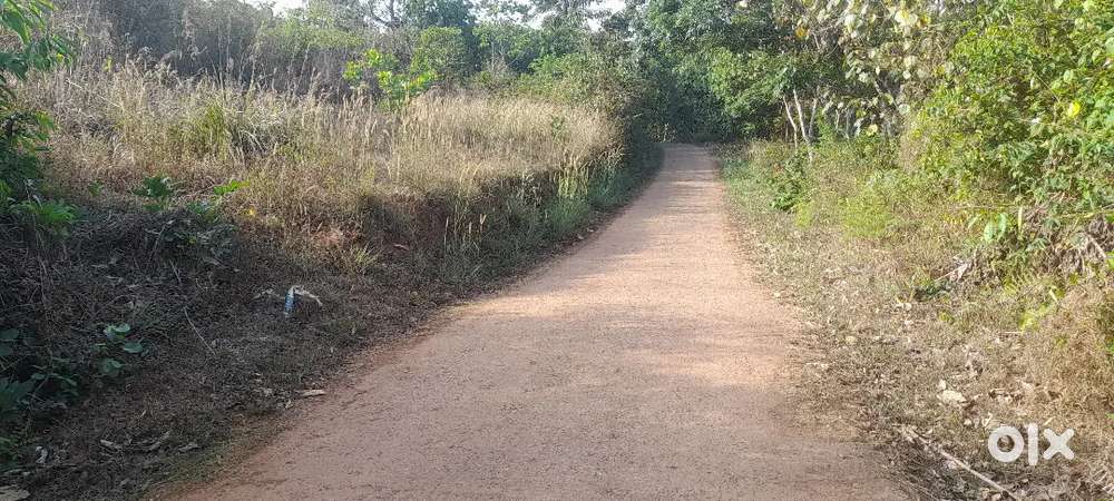 20 cent  house plot in Manathavady muncipality