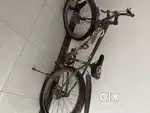 Jeriko brand cycle
