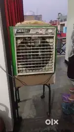 Cooler 3 year old