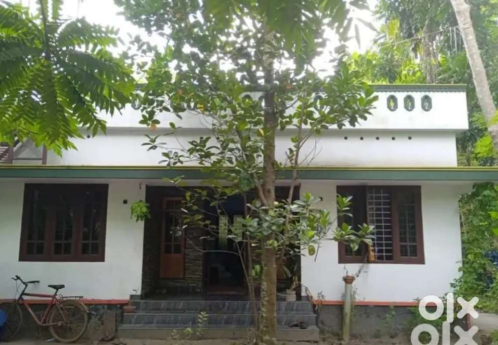House near Cherthala KSRTC കാളിക്കുളം ജംഗ്ഷൻ 3 BHK