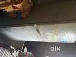 Samsung Fridge