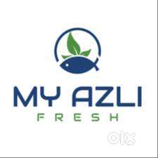 Business Development Executive