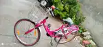 Hero bicycle with basket