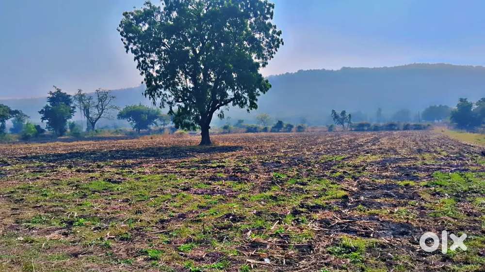 Farmhouse land Rs 275 sqft