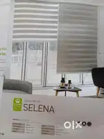 Zebra Blinds