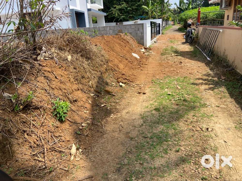 ETTUMANOOR.     TOWN